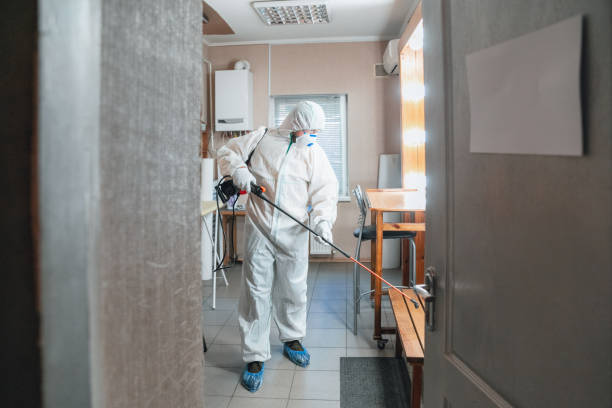 Environmental Consulting for Mold Prevention in Hanapepe, HI