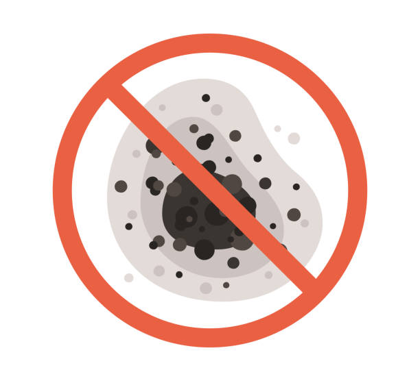Best Biohazard Mold Removal  in Hanapepe, HI
